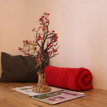 Zirben Diamant & Dogs