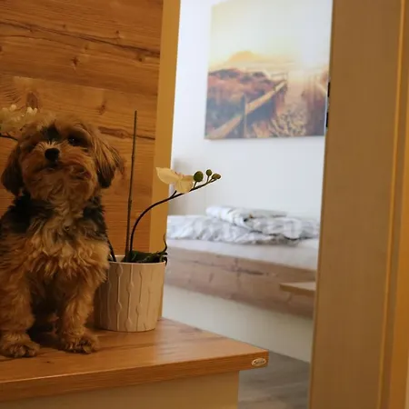 Pensión Zirben Diamant & Dogs Obdach