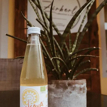 Zirben Diamant & Dogs