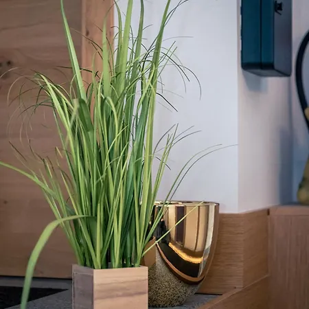 Zirben Diamant & Dogs Pensión Obdach