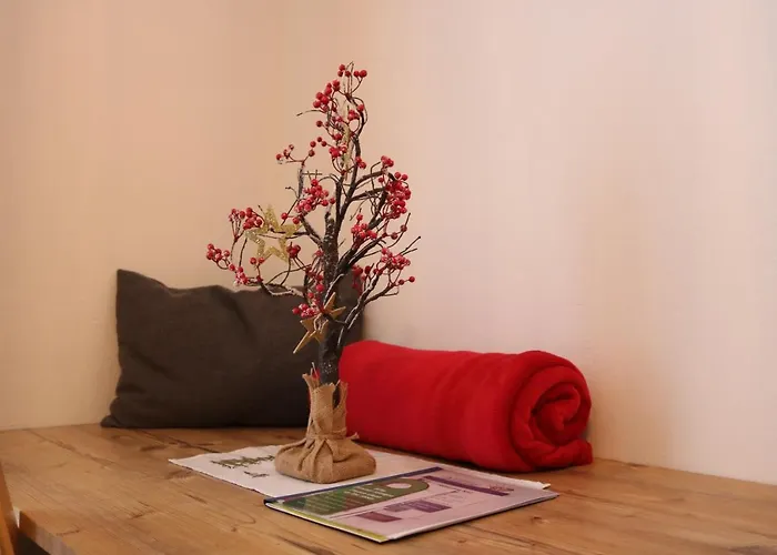 Zirben Diamant & Dogs