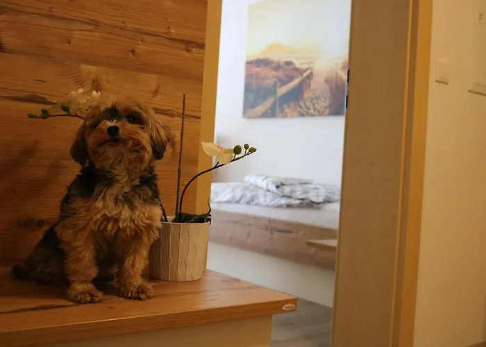 Pensjonat Zirben Diamant & Dogs Obdach