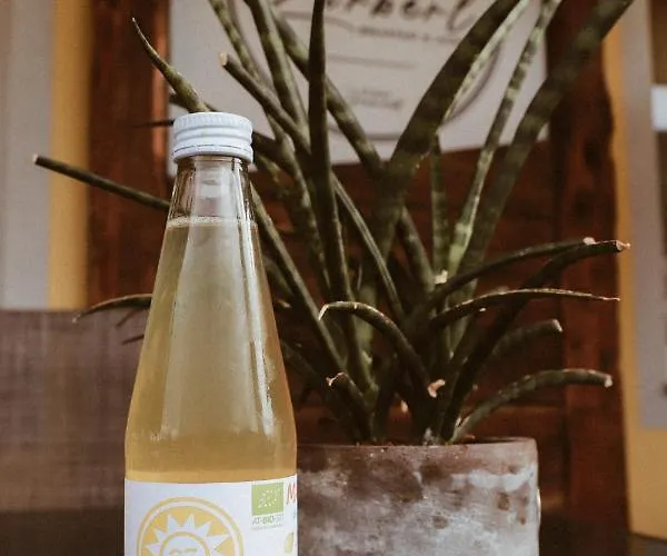 Zirben Diamant & Dogs