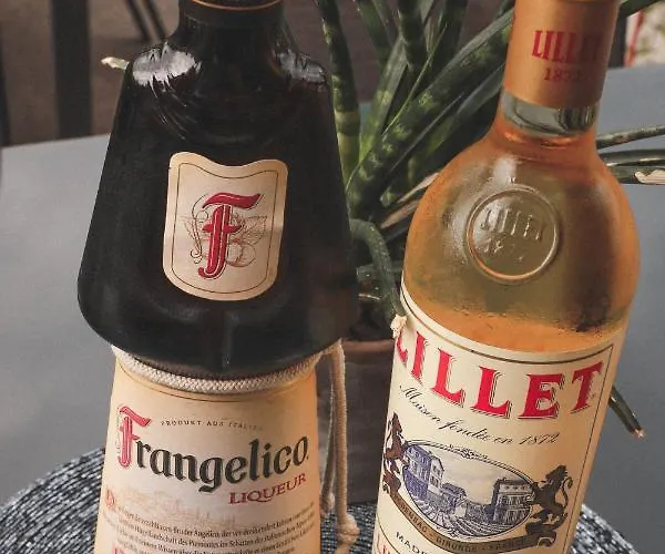 Zirben Diamant & Dogs Obdach