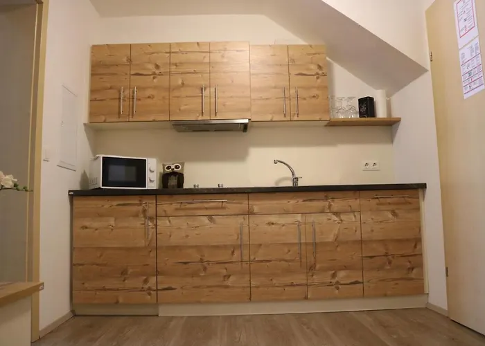 Zirben Diamant & Dogs 招待所 Obdach