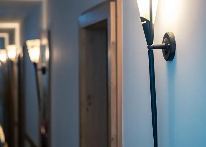 Zirben Diamant & Dogs