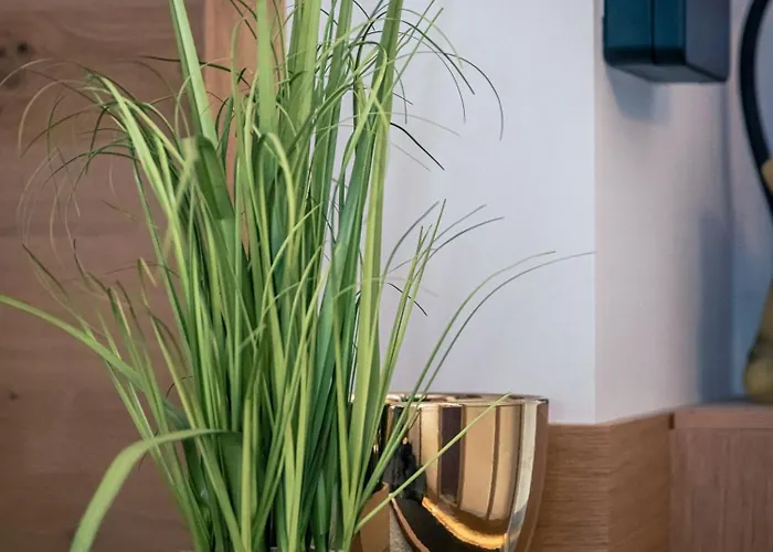 Zirben Diamant & Dogs 招待所 Obdach