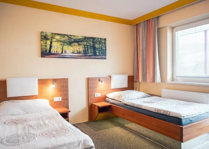 Zirben Diamant & Dogs 3* Obdach